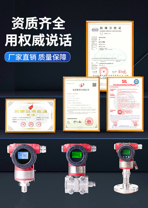 SN3051智能型压力/压差变送器(图2)
