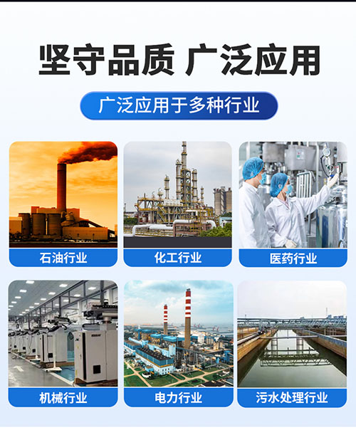 SNW2智能型温度变送器(图14)